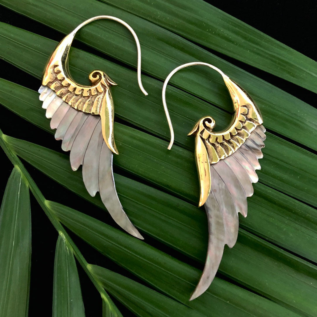 Renaissance Wings - Shell