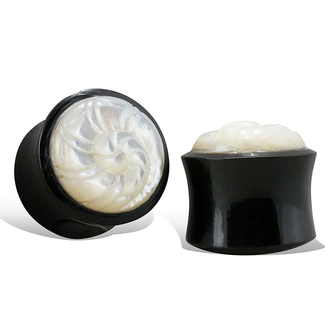 Nautilus Shell Plugs - Horn