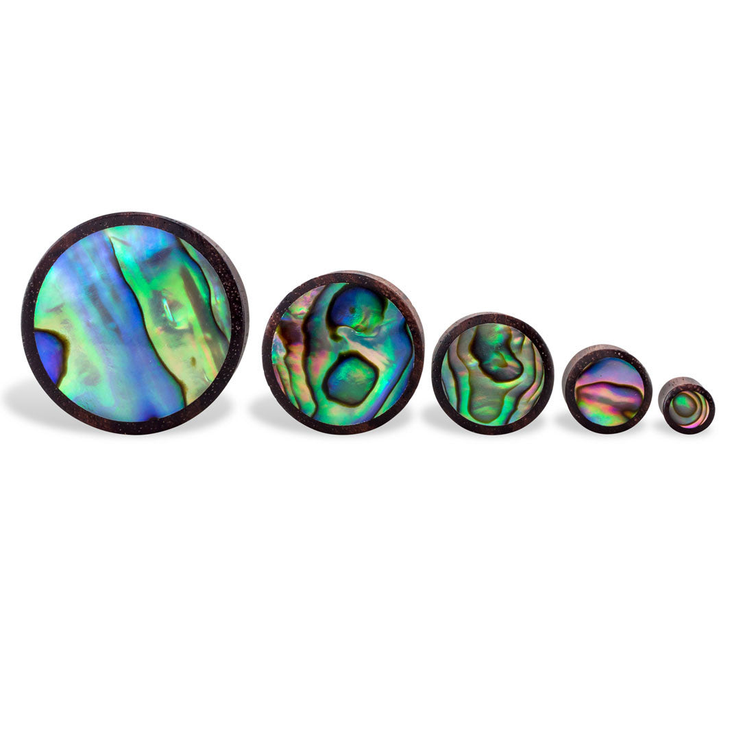 Abalone Plugs - Brown Wood