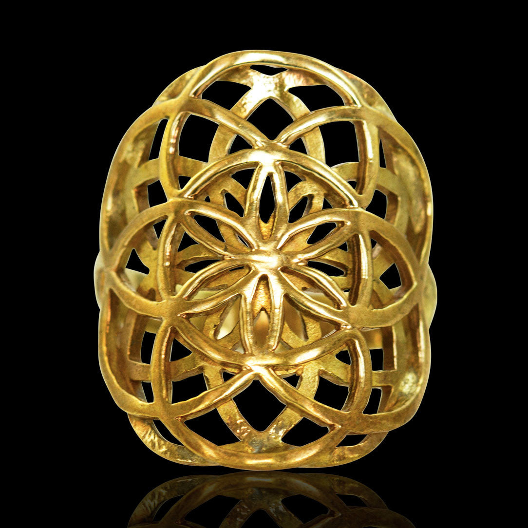 Double Seed of Life Ring - Brass