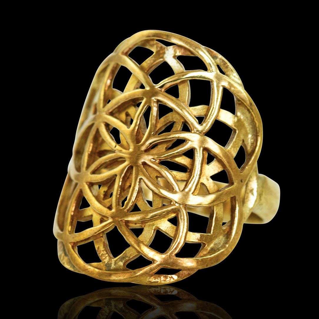 Double Seed of Life Ring - Brass