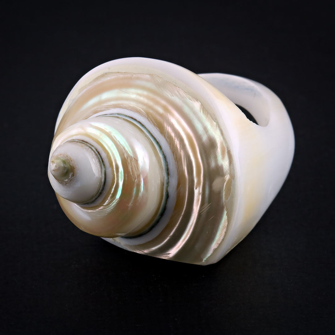 Coned Seashell Ring - Pearl Spiral