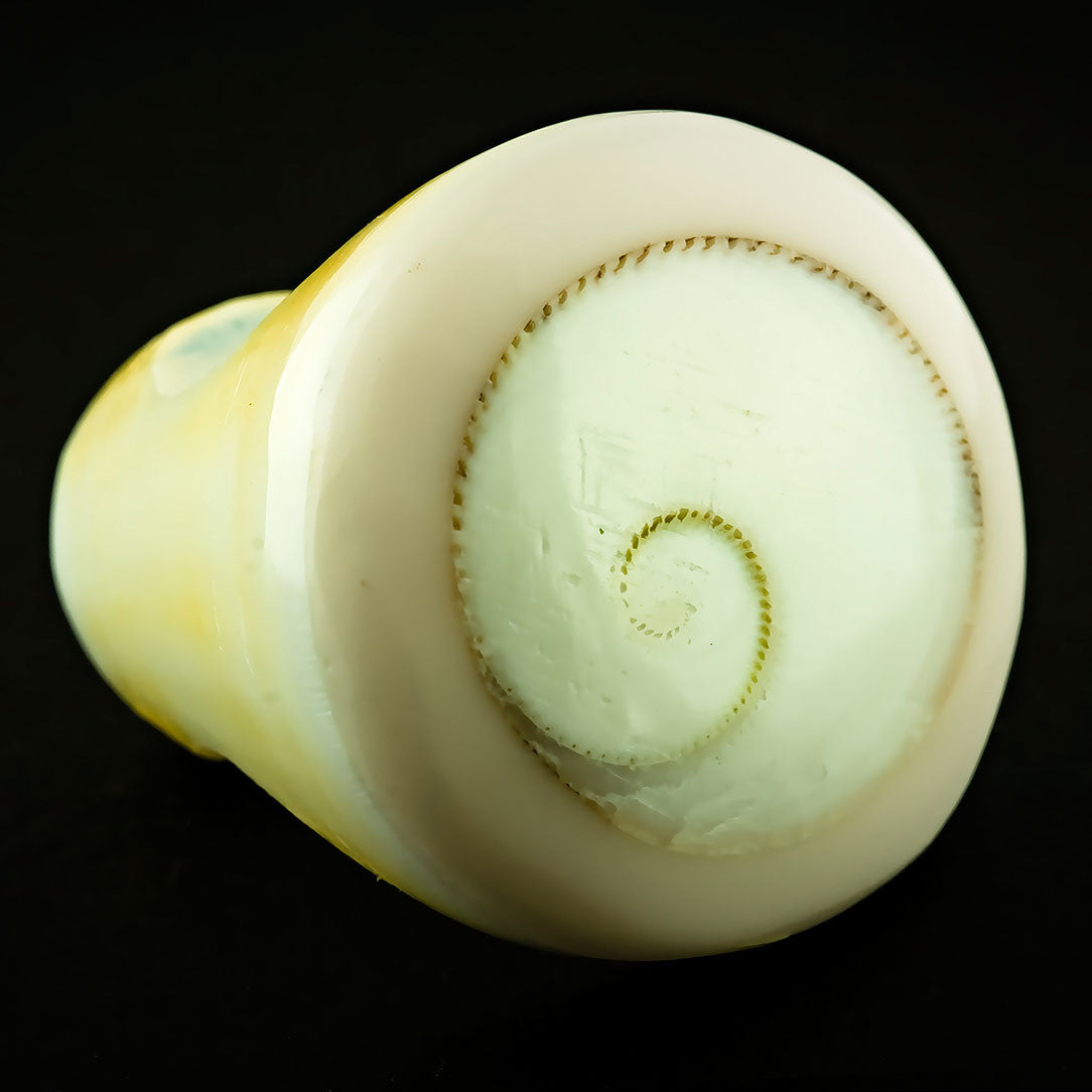 White Seashell Ring - Shiva Eye