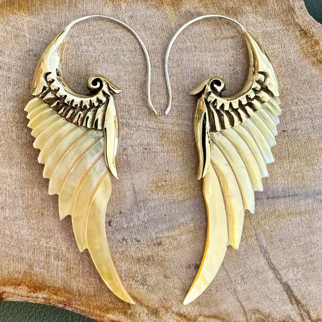 Renaissance Wings - Shell