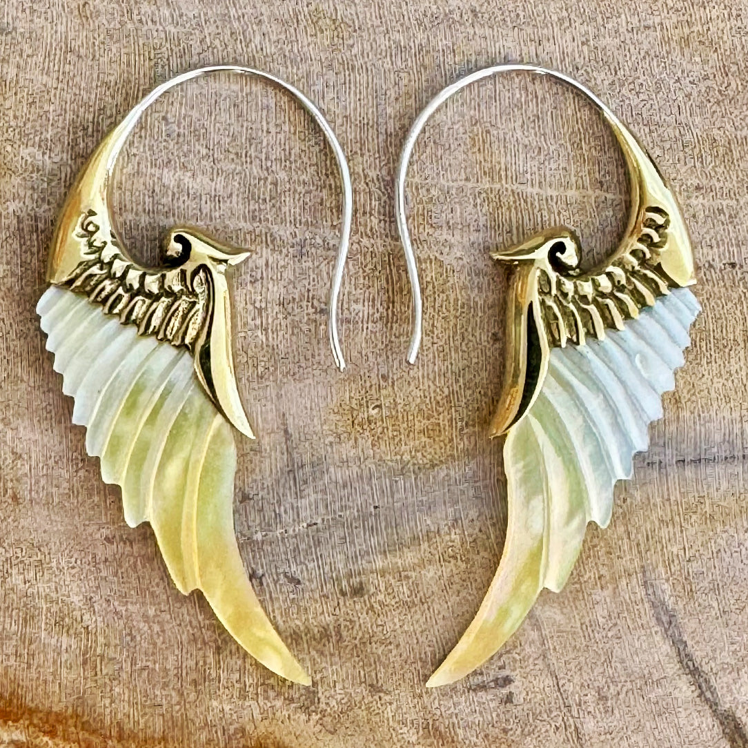 Renaissance Wings - Shell