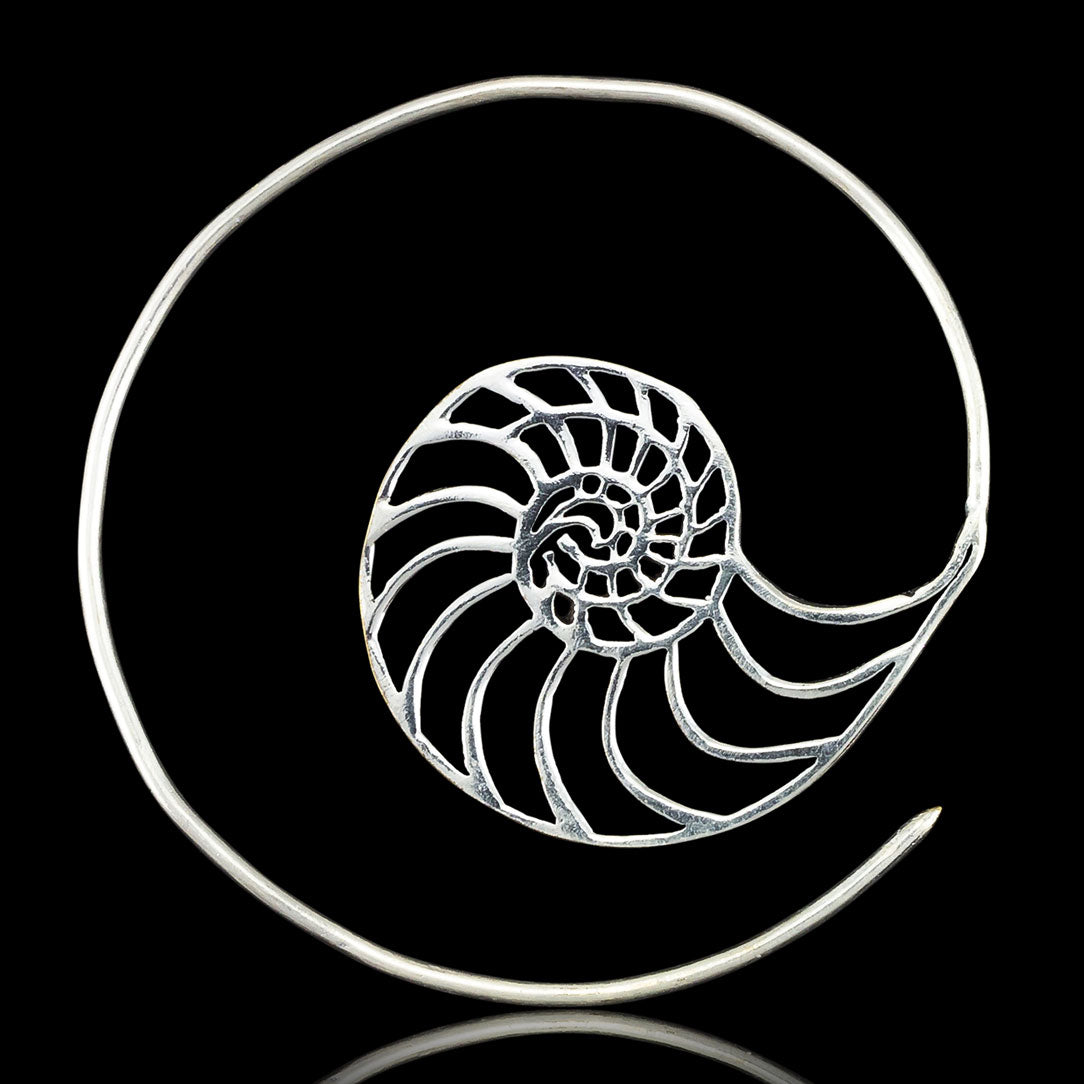 Nautilus Spirals