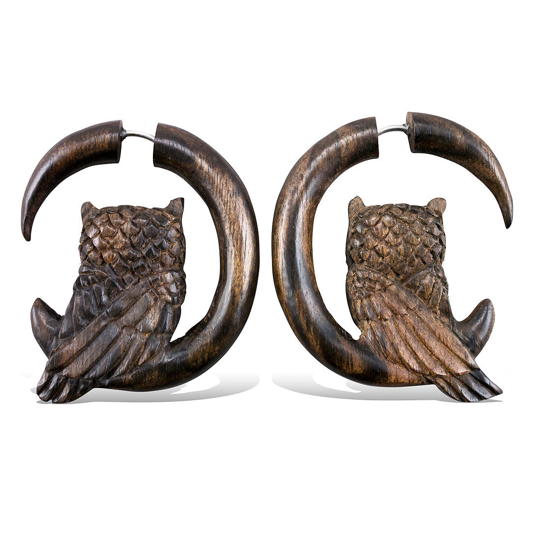 Perched Owl - Wood