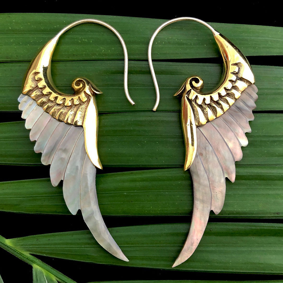 Renaissance Wings - Shell