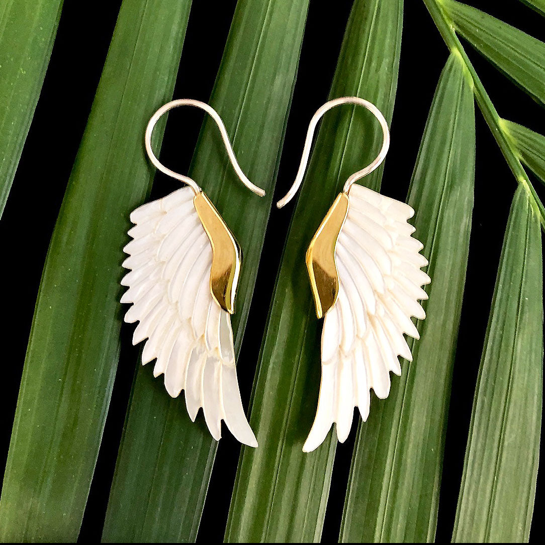 Eagles Wing - Shell